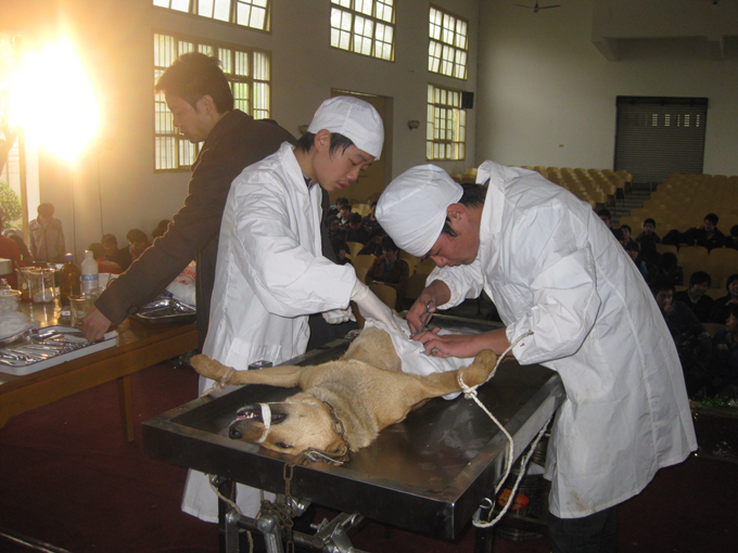 1594620996733003.png 圖片22.png