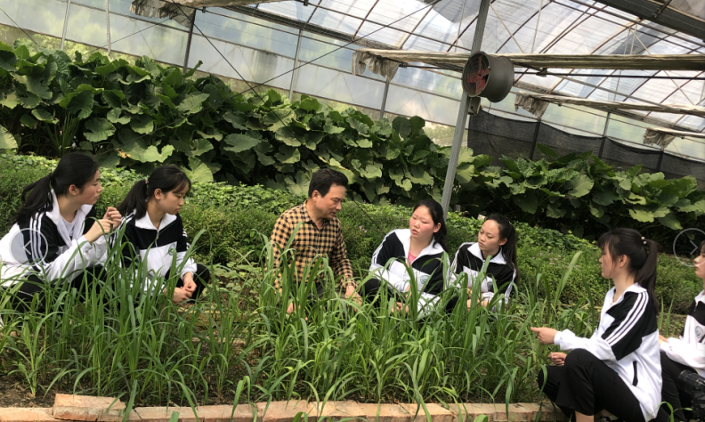 1594621273334443.png 圖片29.png