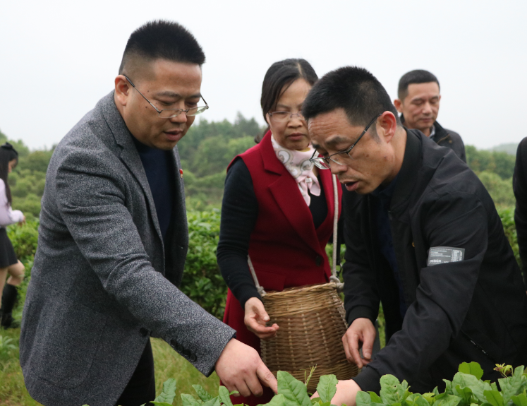 1679380406661312.png 圖片9.png