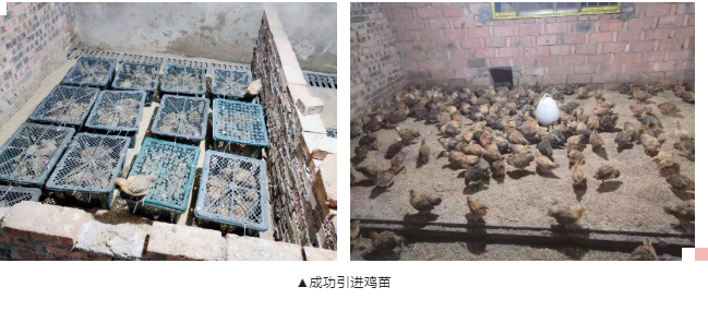 1679385561122687.png 圖片2.png