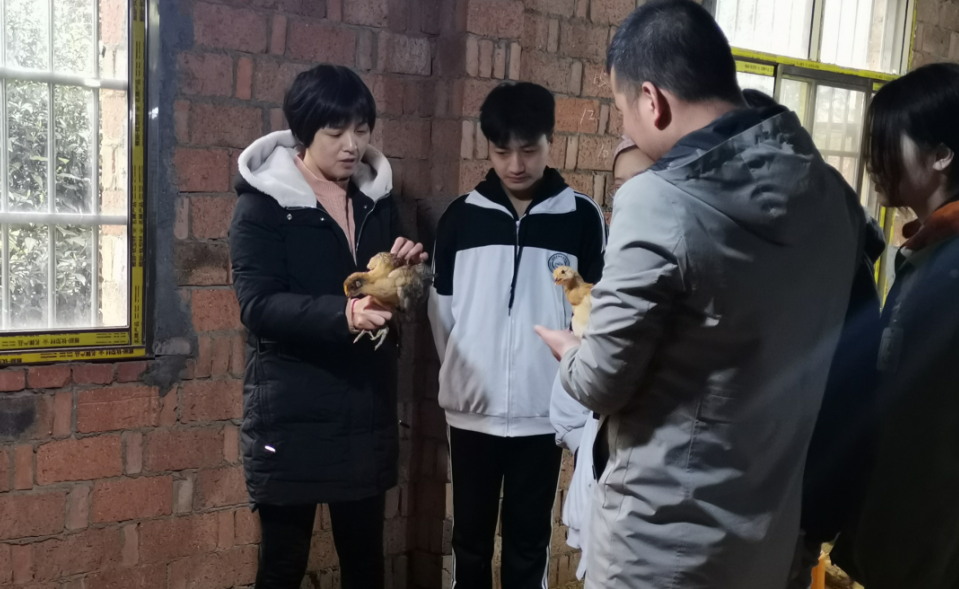 1679385598913521.png 圖片4.png