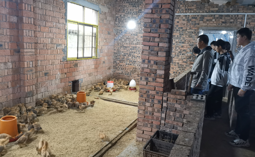 1679385601481396.png 圖片5.png